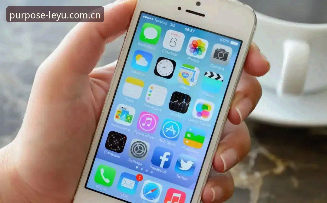 乐鱼体育平台v3.2.0：苹果iOS安装全流程与赛事数据深度解析