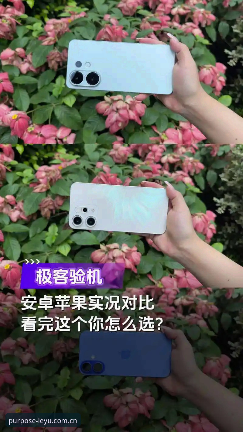 乐鱼苹果版 乐鱼苹果版vs安卓版:用户选择差异与性价比全面对比