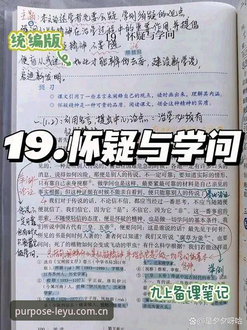 乐鱼苹果版 乐鱼苹果版实测:一个怀疑论者的安装与使用笔记